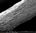 LAY-FOMM 40 Porous Filament
