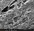 LAY-FOMM 60 Porous Filament